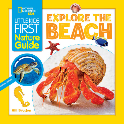 Book cover for Explore the Beach