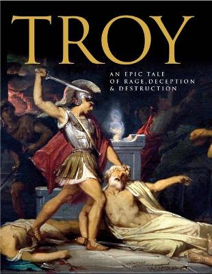 Book cover for Troy