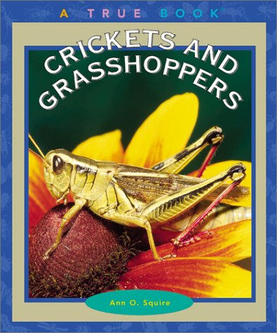 Book cover for Crickets and Grasshoppers