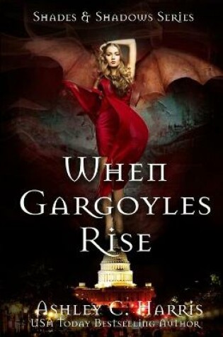 Cover of When Gargoyles Rise