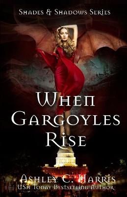 Cover of When Gargoyles Rise