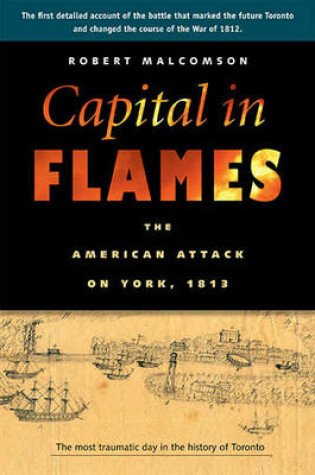 Cover of Capital in Flames