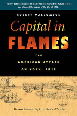 Book cover for Capital in Flames