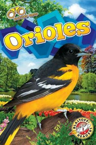 Cover of Orioles