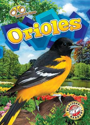 Book cover for Orioles