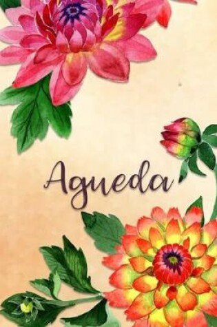 Cover of Agueda