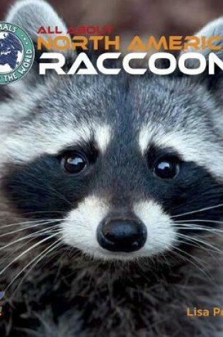 Cover of All about North American Raccoons