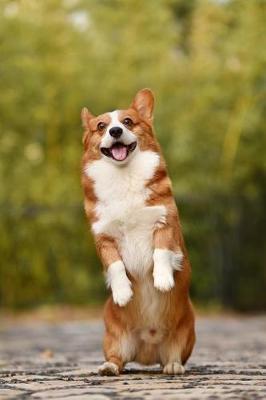 Book cover for Excited Corgi Dog Standing Up Journal