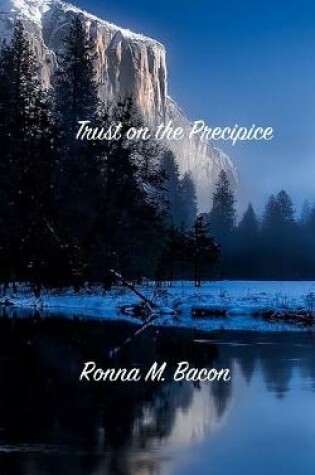 Cover of Trust on the Precipice