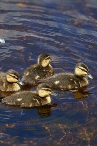 Cover of Oh Look, Sweet Baby Ducklings Animal Journal