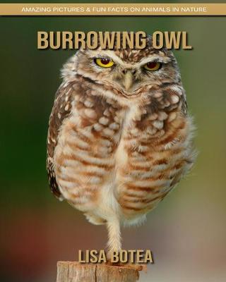 Book cover for Burrowing Owl