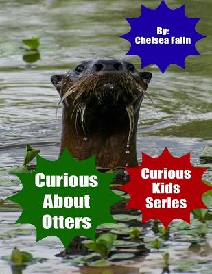 Book cover for Curious About Otters