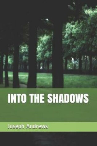 Cover of Into the Shadows