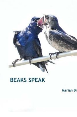 Cover of Beaks Speak