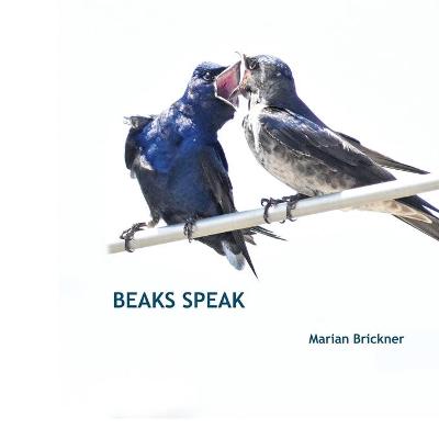 Book cover for Beaks Speak