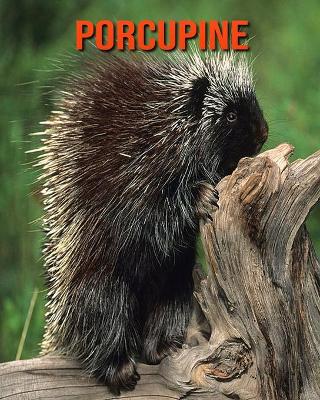 Book cover for Porcupine