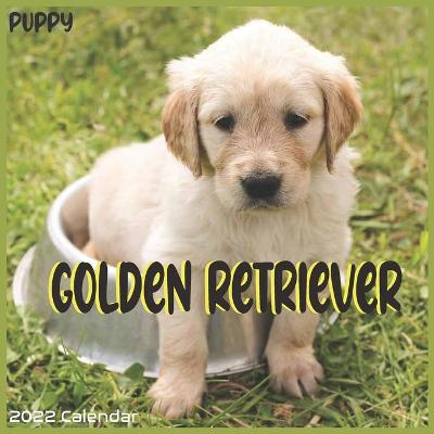 Book cover for Golden Retriever Puppy Calendar 2022