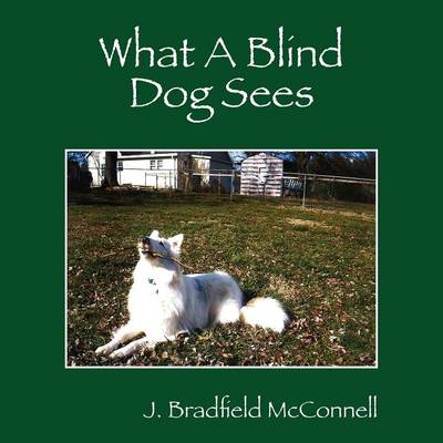 Cover of What A Blind Dog Sees