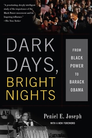 Cover of Dark Days, Bright Nights
