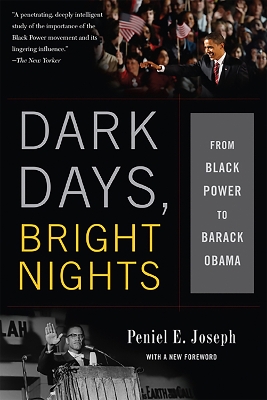 Book cover for Dark Days, Bright Nights