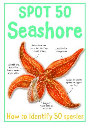 Book cover for Spot 50 Seashore