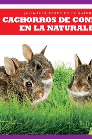 Cover of Cachorros de Conejo En La Naturaleza (Rabbit Kits in the Wild)