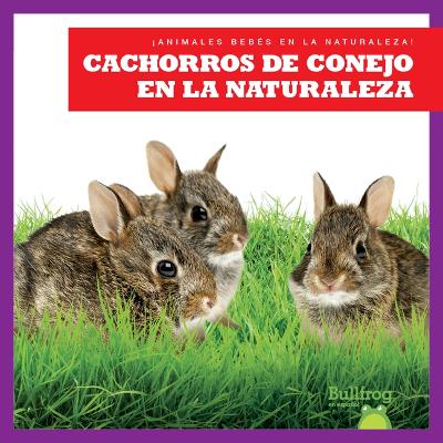 Cover of Cachorros de Conejo En La Naturaleza (Rabbit Kits in the Wild)