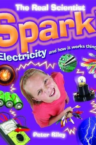 Cover of Spark-Electricity and How It Works