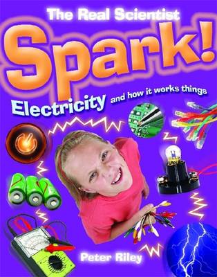 Cover of Spark-Electricity and How It Works