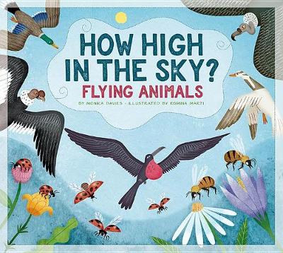 Book cover for How High in the Sky?