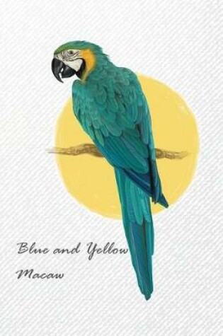 Cover of Blue and Yellow Macaw