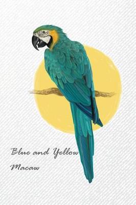 Book cover for Blue and Yellow Macaw