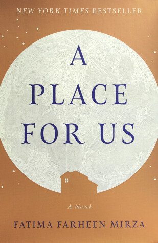 Book cover for A Place for Us