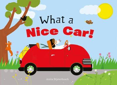 Book cover for What a Nice Car!