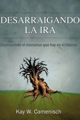 Cover of Desarraigando La IRA