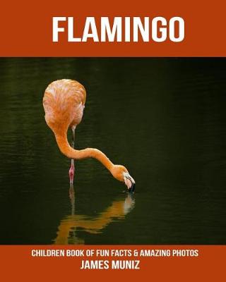 Book cover for Flamingo