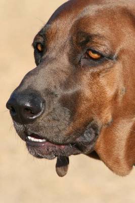 Book cover for The Redbone Coonhound Dog Journal