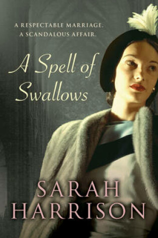 Cover of A Spell of Swallows