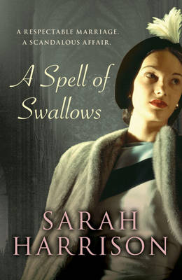 Book cover for A Spell of Swallows