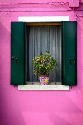 Book cover for Cool Potted Plant in the Window in a Pink Wall Journal