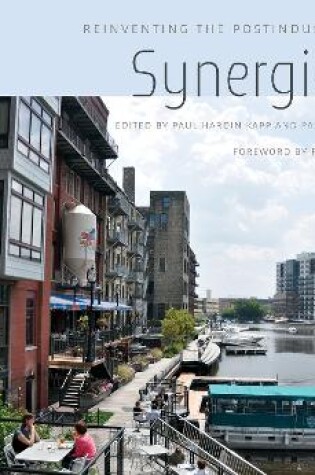 Cover of SynergiCity