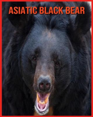 Book cover for Asiatic Black Bear