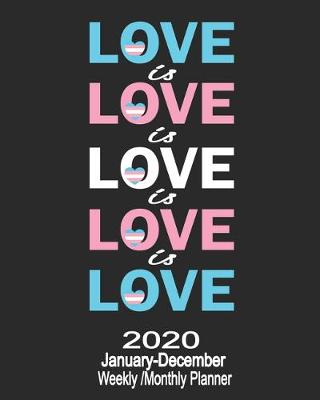 Book cover for 2020 January-December Weekly/Monthly Planner Love Is Love