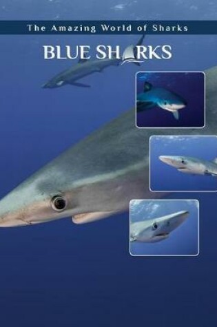 Cover of Blue Sharks