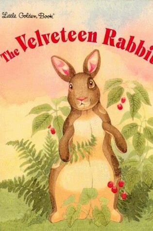 Cover of Lgb:Velveteen Rabbit, the