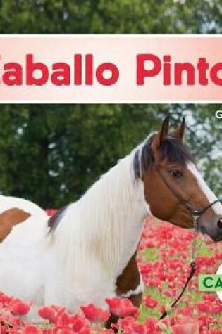 Cover of Caballo Pinto (American Paint Horses)