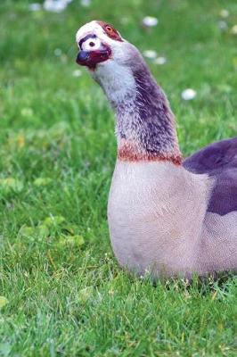 Book cover for Egyptian Goose in the Grass Journal