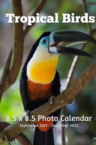 Cover of Tropical Birds 8.5 X 8.5 Calendar September 2021 -December 2022