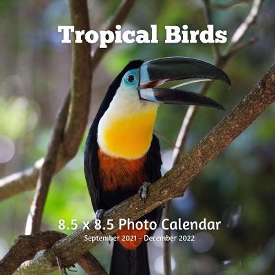 Book cover for Tropical Birds 8.5 X 8.5 Calendar September 2021 -December 2022