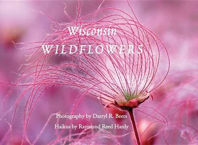 Book cover for Wisconsin Wildflowers